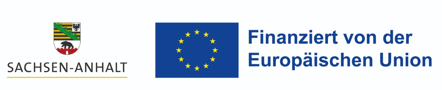 logo s a eu web