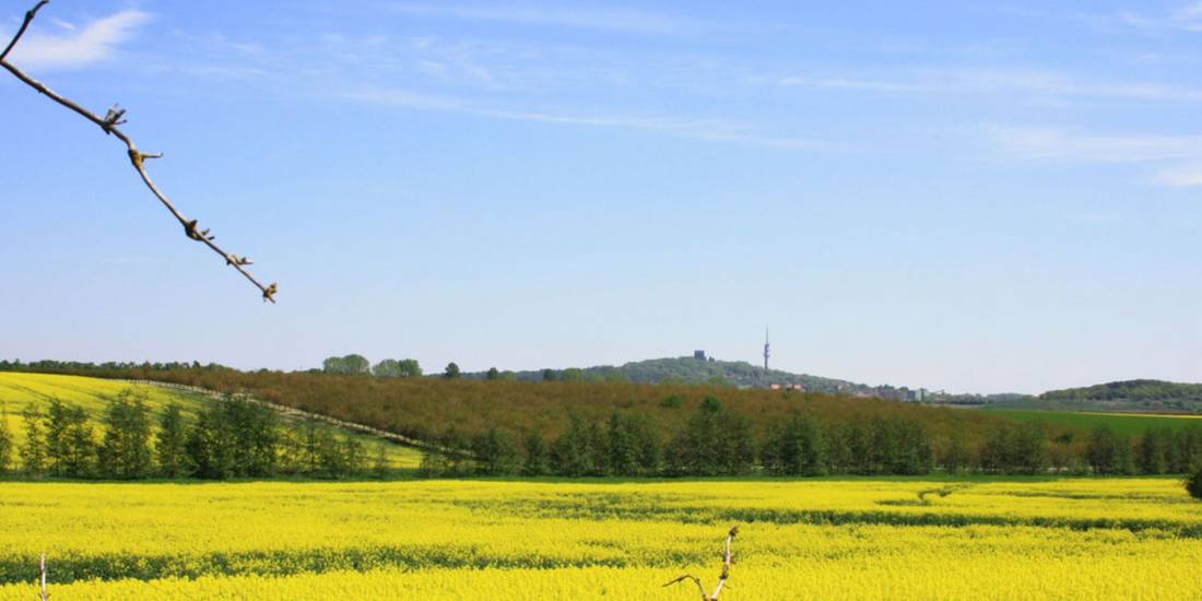 petersberg 04b