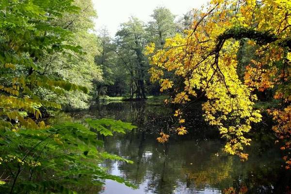 Parkspaziergang © Ch. Vandamme