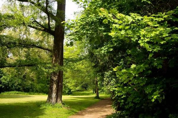 Park © Ch. Vandamme